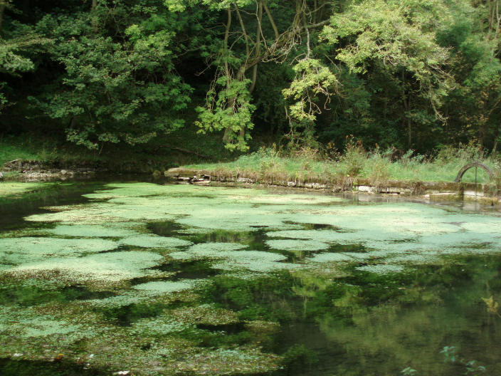 Bradford Dale Bradford Dale